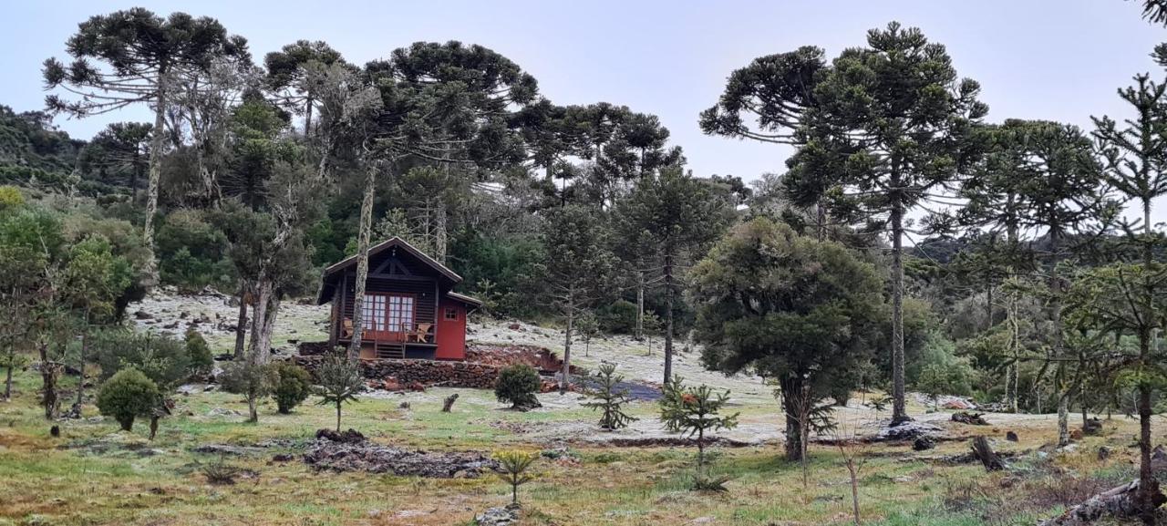 Casa de hóspedes Recanto Luz Da Serra *