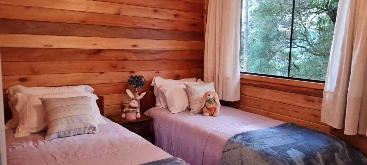 Recanto Luz Da Serra Guest house Urubici